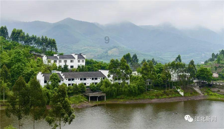 智慧问答网页-临时招人搞装修的劳务费开什么发票精准解答您的问题